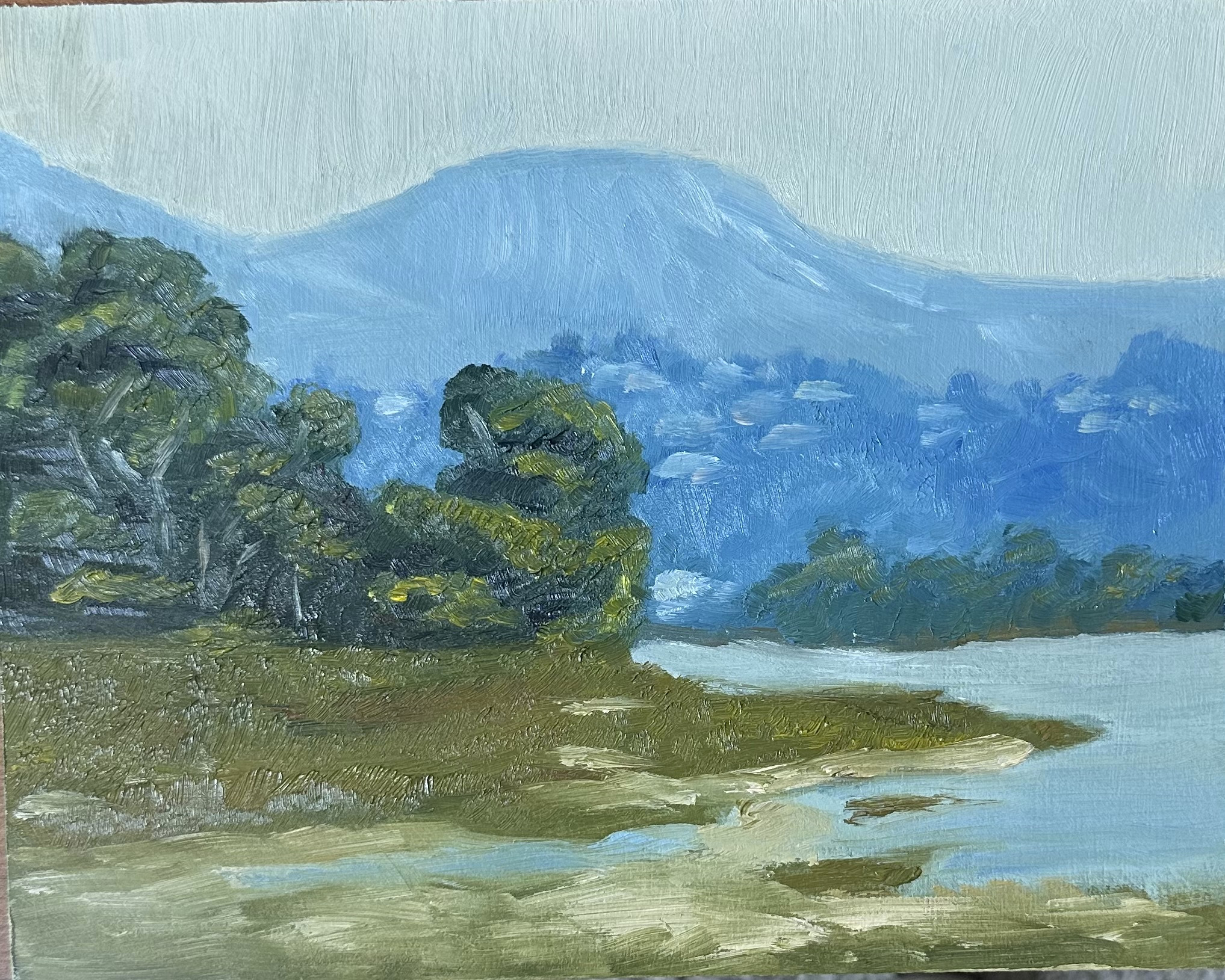 The Tranquil Meadow and Mountain