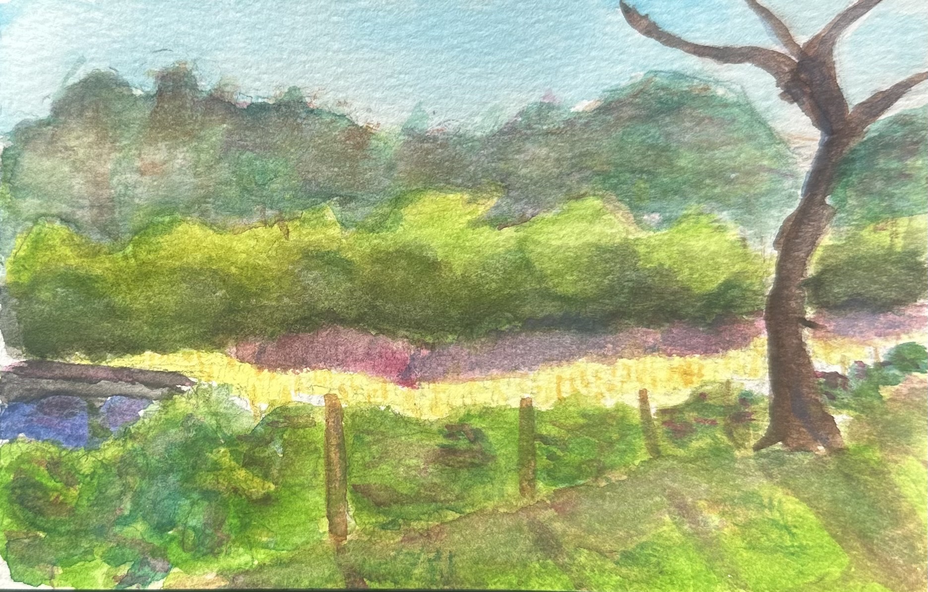 Hearst Castle Campground Plein Air